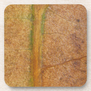 Fallen Leaf 11 Coaster