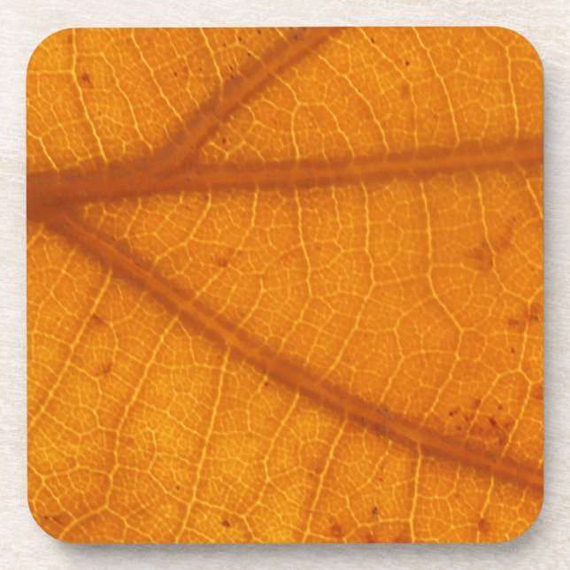 Fallen Leaf 14A Coaster (Front)