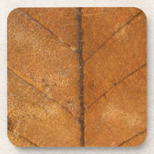 Fallen Leaf 4 Coaster