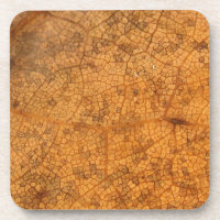 Fallen Leaf 8A