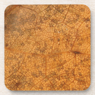 Fallen Leaf 8A Coaster