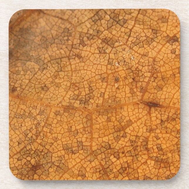 Fallen Leaf 8A Coaster (Front)