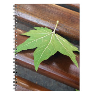 fallen leaf notebook