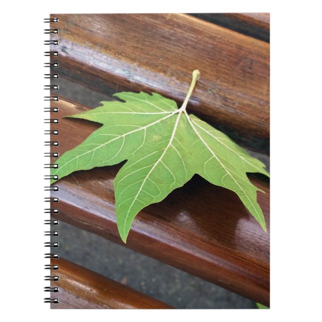 fallen leaf notebook (Front)