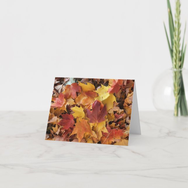 Fallen Leaves Assorted Colours Card (Front)