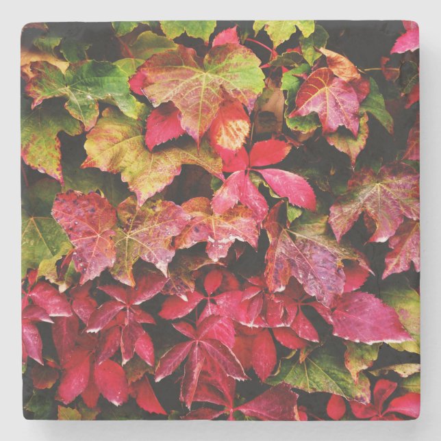 Fallen Leaves At The Yard In Autumn Stone Coaster (Front)