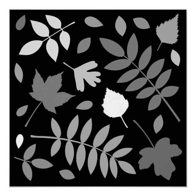 Fallen Leaves Design Greys White Black Poster (Front)