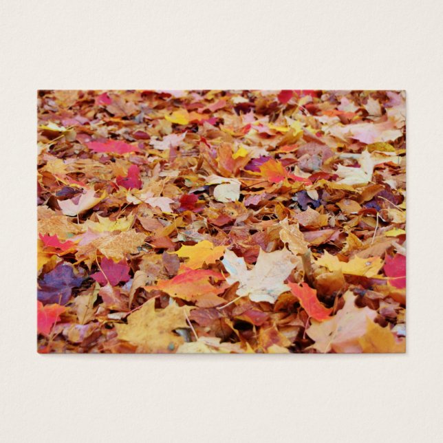 Fallen Leaves in Autumn (Front)