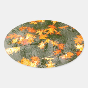fallen leaves in rain oval sticker
