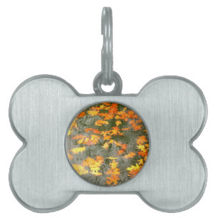 fallen leaves in rain pet tag