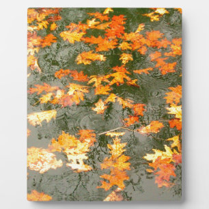fallen leaves in rain plaque