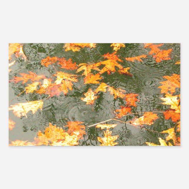 fallen leaves in rain rectangular sticker (Front)