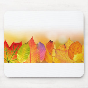 Fallen Leaves Mouse Pad