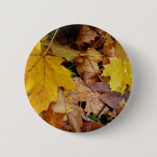 Fallen Maple Leaves Yellow Autumn Nature 6 Cm Round Badge