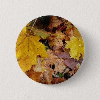 Fallen Maple Leaves Yellow Autumn Nature 6 Cm Round Badge