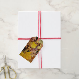 Fallen Maple Leaves Yellow Autumn Nature Gift Tags