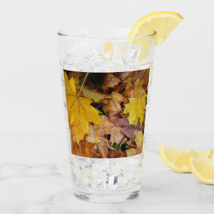 Fallen Maple Leaves Yellow Autumn Nature Glass