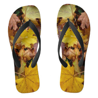 Fallen Maple Leaves Yellow Autumn Nature Jandals
