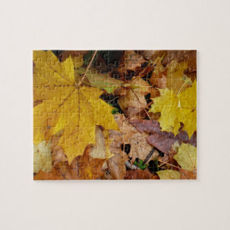 Fallen Maple Leaves Yellow Autumn Nature Jigsaw Puzzle