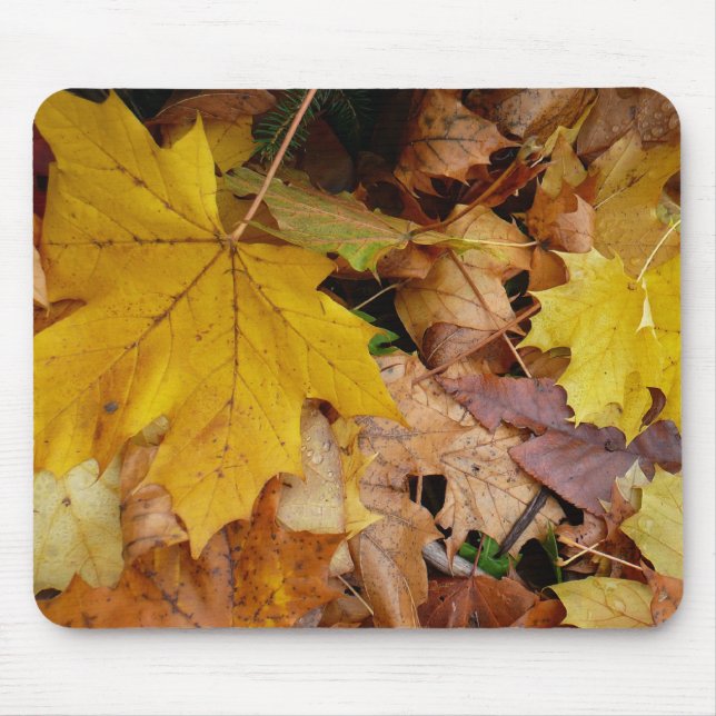 Fallen Maple Leaves Yellow Autumn Nature Mouse Pad (Front)