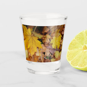 Fallen Maple Leaves Yellow Autumn Nature Shot Glass