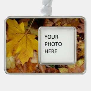 Fallen Maple Leaves Yellow Autumn Nature Silver Plated Framed Ornament