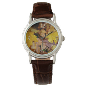 Fallen Maple Leaves Yellow Autumn Nature Watch