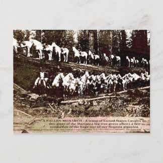 Fallen Monarch - Postcard