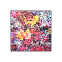 Fallen Red Maple Leaves on Water