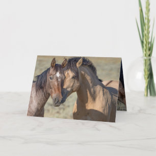 Fallen Star and His Mare Wild Horse Greeting Card