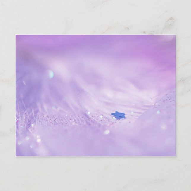 Fallen Star Postcard (Front)