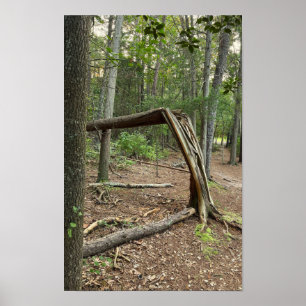 Fallen Tree in Park Poster