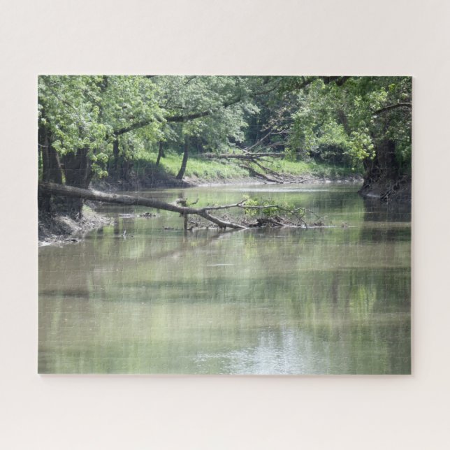Fallen tree in the water jigsaw puzzle (Horizontal)