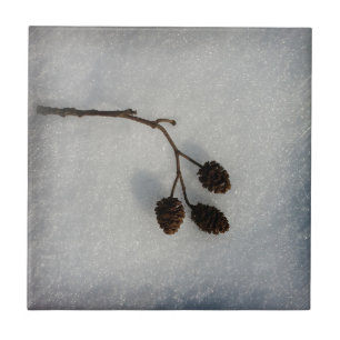 fallen twig tile