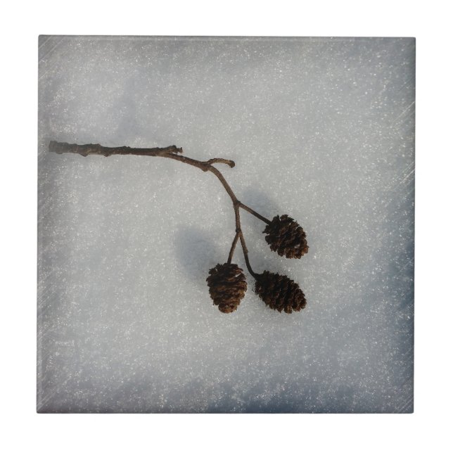 fallen twig tile (Front)