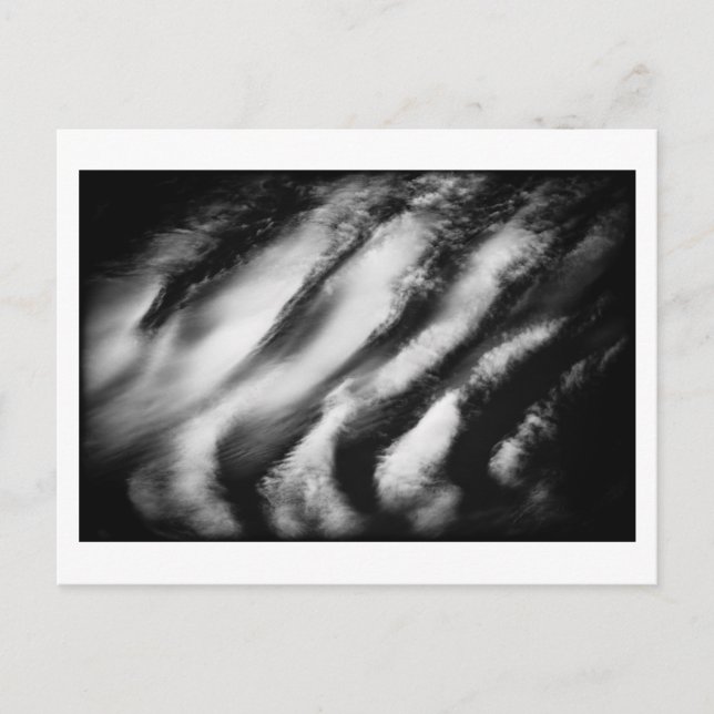 fallen vultures postcard (Front)