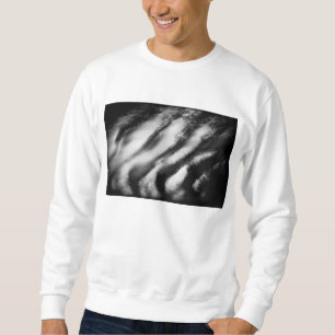 fallen vultures sweatshirt
