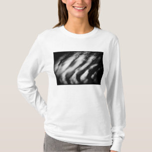 fallen vultures T-Shirt