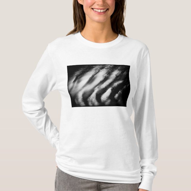 fallen vultures T-Shirt (Front)