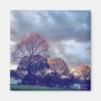 Fallin' in love magnet