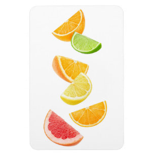 Falling citrus slices magnet