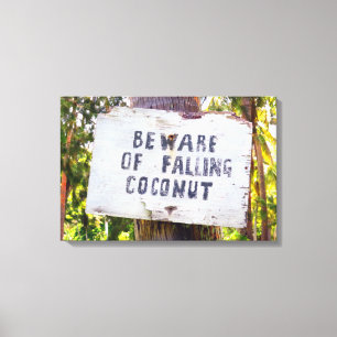 FALLING COCONUTS 16x24 Canvas Print