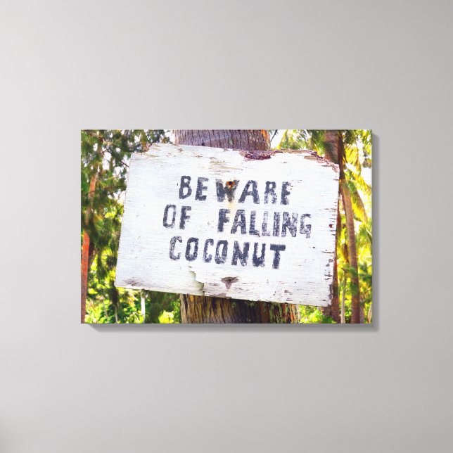 FALLING COCONUTS 16x24 Canvas Print (Front)