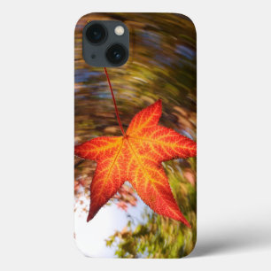 Falling Leaf from a tree in autumn iPhone 13 Case