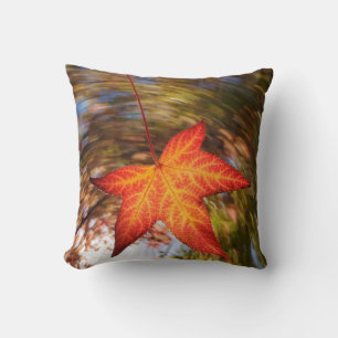 Falling Leaf from a tree in autumn Cushion
