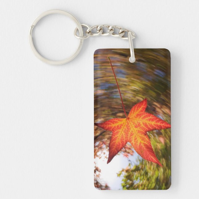 Falling Leaf from a tree in autumn Key Ring (Front)