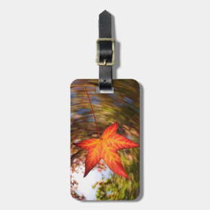 Falling Leaf from a tree in autumn Luggage Tag
