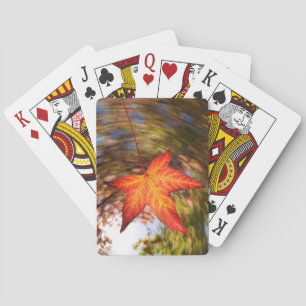 Falling Leaf from a tree in autumn Playing Cards
