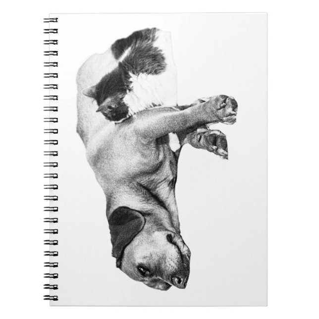 Falling Leaves Friends Notebook (Front)