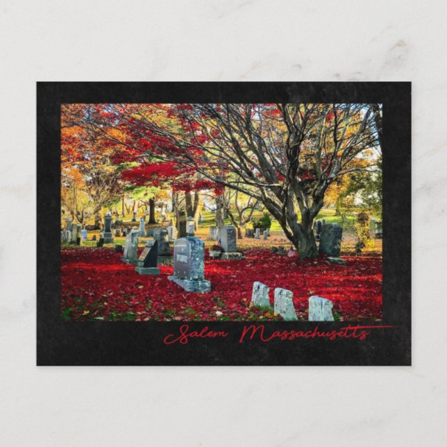 Falling Leaves in Salem, Massachusetts Postcard (Front)